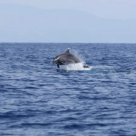 Sea View Luxury Victoria Apartament Torrevieja