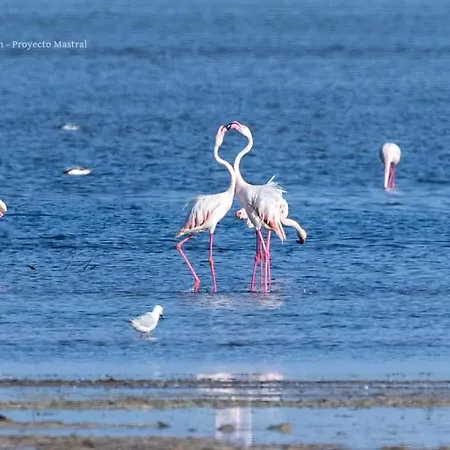 Sea View Luxury Victoria Torrevieja