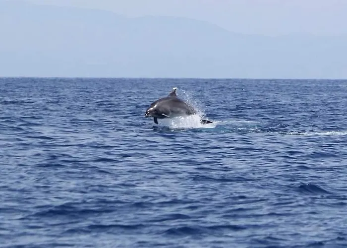 Sea View Luxury Victoria Apartment Torrevieja