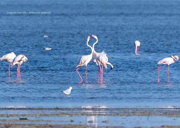 Sea View Luxury Victoria Torrevieja